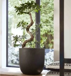 Capi Europe - Bloempot Bol Smooth NL - 35x34 - Zwart - Voor Binnen En Buiten - KBL932 -Tuinmeubel Verkoop 1116x1200