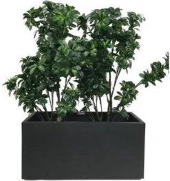Elho Vivo Matt Finish Lang Wielen 90 - Grote Staande Plantenbak Voor Binnen & Buiten - Gemaakt Van Gereycled Plastic - L 39 X W 88 X H 41 Cm - Zwart -Tuinmeubel Verkoop 1124x1200 1