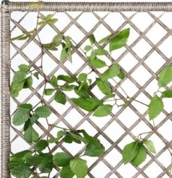 Casaria Polyrattan Bloembak – 3 Bakken Klimophek - Crème -Tuinmeubel Verkoop 1163x1200 1