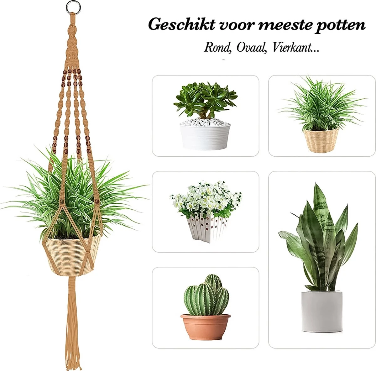4 Stuks Luxe Jute Plantenhangers - Boho Handgeweven Katoen Hangpot Voor Binnen/Buiten - Hangende Bloempot Met Kralen - Macramé Touw/Koord Hangplant Houder - Bohemian Wandhanger Decoratie - Plant Hanger - Verticale Tuin Bloempothouder Planthanger 8 4 Stuks Luxe Jute Plantenhangers - Boho Handgeweven Katoen Hangpot Voor Binnen/Buiten - Hangende Bloempot Met Kralen - Macramé Touw/Koord Hangplant Houder - Bohemian Wandhanger Decoratie - Plant Hanger - Verticale Tuin Bloempothouder Planthanger - Image 6