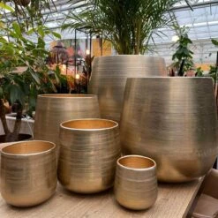 Merkloos Karakter Pot Alu Neo Gold ø40x40cm -Tuinmeubel Verkoop 1200x1198 11