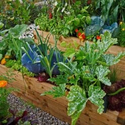 Mycorrhiza Mix Moestuin 500Gr - FungiLife Endomycorrhiza -Tuinmeubel Verkoop 1200x1200 410