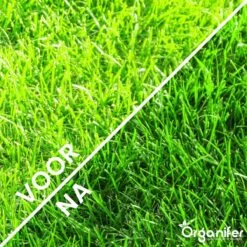Gazonmest All-In-One (20Kg - Voor 400m2) Voor Een Diepgroen Sterk Gazon Zonder Mos En Onkruid - Complete Meststof Met Kalk En Grasversterker - Organifer -Tuinmeubel Verkoop 1200x1200 411