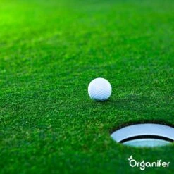 Gazonmest All-In-One (20Kg - Voor 400m2) Voor Een Diepgroen Sterk Gazon Zonder Mos En Onkruid - Complete Meststof Met Kalk En Grasversterker - Organifer -Tuinmeubel Verkoop 1200x1200 419