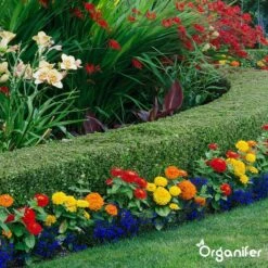 Lavagruis Uit Eifel Oergesteente (20Kg Voor 200m2) Grof Lavameel 0-2mm - Organifer -Tuinmeubel Verkoop 1200x1200 428