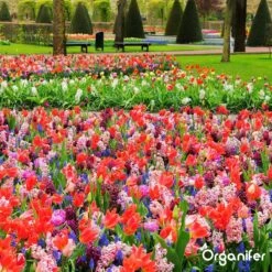 Lavagruis Uit Eifel Oergesteente (20Kg Voor 200m2) Grof Lavameel 0-2mm - Organifer -Tuinmeubel Verkoop 1200x1200 429