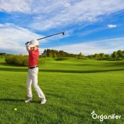 Lavagruis Uit Eifel Oergesteente (20Kg Voor 200m2) Grof Lavameel 0-2mm - Organifer -Tuinmeubel Verkoop 1200x1200 430