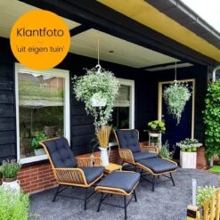 BUITEN Living Dex Wicker Loungestoel Tuin Incl. Wicker Voetenbank | Wicker + Aluminium | Bamboe Antraciet 23 BUITEN Living Dex Wicker Loungestoel Tuin Incl. Wicker Voetenbank | Wicker + Aluminium | Bamboe Antraciet -Tuinmeubel Verkoop 1200x1200 55