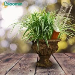 Bloomin Waterdruppelaar Van Terracotta - Waterdruppelaar Voor Planten - Druppelsysteem - Irrigatiesysteem - Watergeefsysteem - Bewateringssysteem - 8 Stuks -Tuinmeubel Verkoop 1200x1200 577