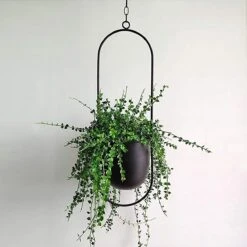Be-Inspired® Hangende Bloempot Ovaal - Bloempot Binnen - Voor Hangplant – Plant Bloem Pot Met Opknoping – Plantenhanger - Plantenbak - Industrieel – Scandinavisch - Metaal - Zwart 11 Be-Inspired® Hangende Bloempot Ovaal - Bloempot Binnen - Voor Hangplant – Plant Bloem Pot Met Opknoping – Plantenhanger - Plantenbak - Industrieel – Scandinavisch - Metaal - Zwart -Tuinmeubel Verkoop 1200x1200 683