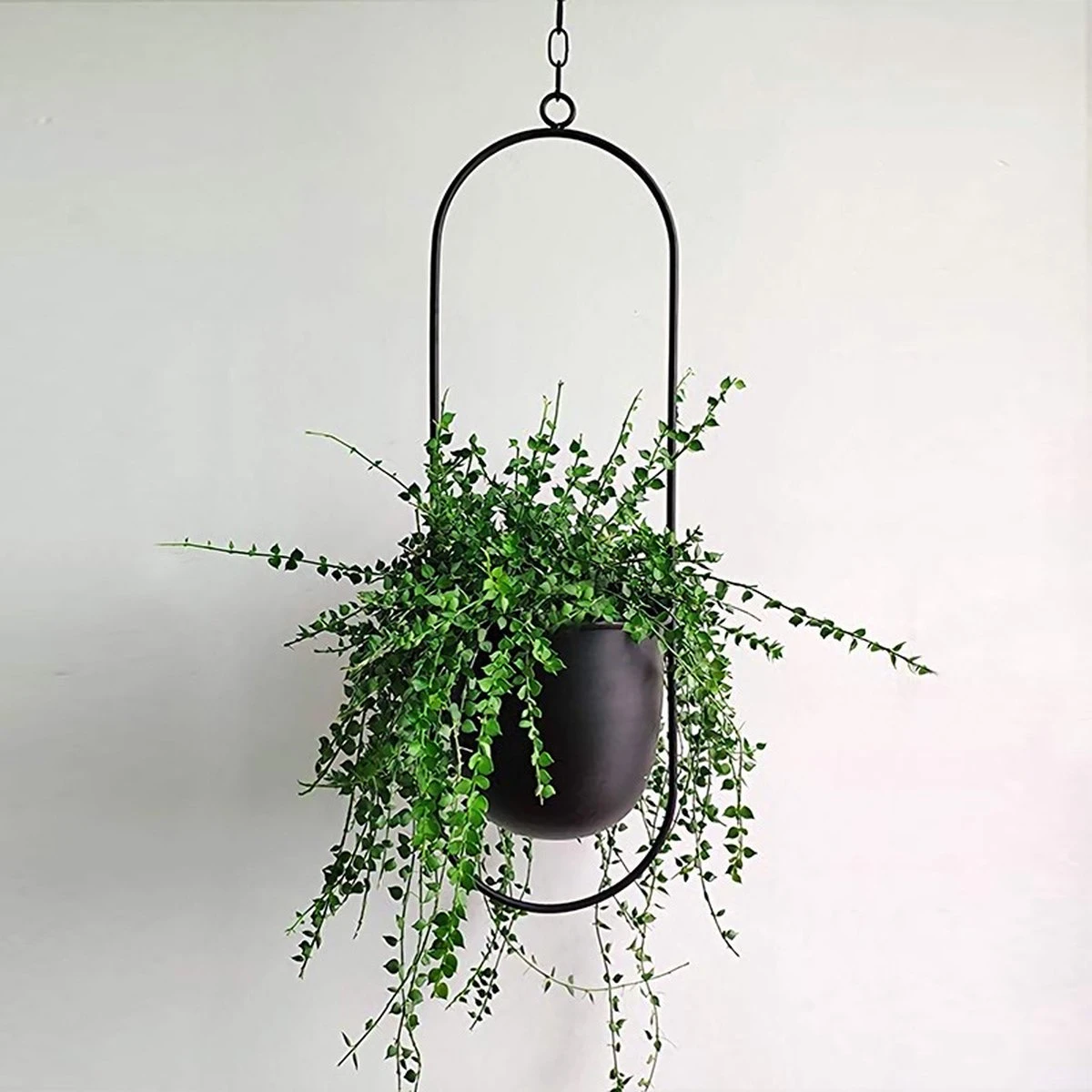 Be-Inspired® Hangende Bloempot Ovaal - Bloempot Binnen - Voor Hangplant – Plant Bloem Pot Met Opknoping – Plantenhanger - Plantenbak - Industrieel – Scandinavisch - Metaal - Zwart 5 Be-Inspired® Hangende Bloempot Ovaal - Bloempot Binnen - Voor Hangplant – Plant Bloem Pot Met Opknoping – Plantenhanger - Plantenbak - Industrieel – Scandinavisch - Metaal - Zwart - Image 3