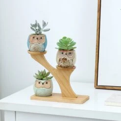 Luxe Bamboe Houten Boom Met 3 Keramiek Uil Bloempotten/Plantenpotten Op Standaard/Voet Voor Binnen En Buiten - Modern Design Bloempot/Plantenpot Op Poten/Pootjes-Plantenbak Mini Cactus Nep Plant Pot Houder - Kleine Bloembakken Plantenrek/Plantenkurk -Tuinmeubel Verkoop 1200x1200 689
