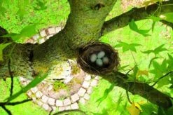 Gardigo Kattenafweergordel -Tuinmeubel Verkoop 1200x799 8