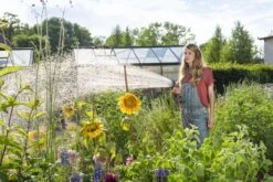 GARDENA - Comfort Broeskop - 5 Straalsoorten - Grijs -Tuinmeubel Verkoop 1200x800 106