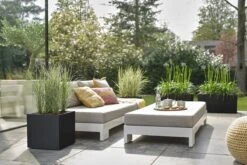 Elho Vivo Next Vierkant 40 - Plantenbak Voor Binnen & Buiten - Ø 39.0 X H 37.9 Cm - Zwart/Living Black -Tuinmeubel Verkoop 1200x800 147