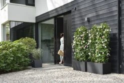 Elho Vivo Next Vierkant 40 - Plantenbak Voor Binnen & Buiten - Ø 39.0 X H 37.9 Cm - Zwart/Living Black -Tuinmeubel Verkoop 1200x800 148