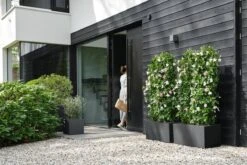 Elho Vivo Next Vierkant 40 - Plantenbak Voor Binnen & Buiten - Ø 39.0 X H 37.9 Cm - Zwart/Living Black -Tuinmeubel Verkoop 1200x800 149