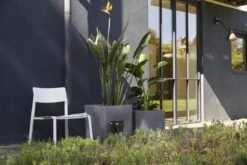 Capi Europe - Bloempot Vierkant Smooth NL - 50x50x50 - Zwart - Voor Binnen En Buiten - KBL904 -Tuinmeubel Verkoop 1200x800 157