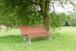 MaximaVida Tuinbank Budapest Oil 170 Cm - Uit Exclusief Mahoniehout -Tuinmeubel Verkoop 1200x800 50