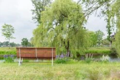 MaximaVida Tuinbank Budapest Oil 170 Cm - Uit Exclusief Mahoniehout -Tuinmeubel Verkoop 1200x800 51