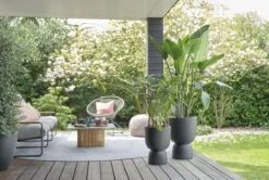 Elho Pure Coupe 41 - Bloempot Voor Binnen & Buiten - Ø 41.3 X H 57.9 Cm - Zwart/Zwart -Tuinmeubel Verkoop 1200x805 2