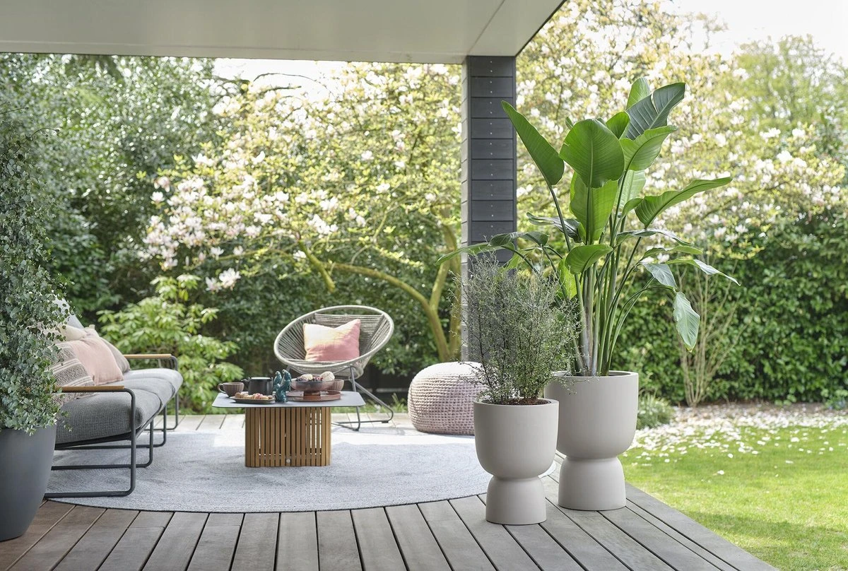 Elho Pure Coupe 41 - Bloempot Voor Binnen & Buiten - Ø 41.3 X H 57.9 Cm - Beige/Balanced Beige 7 Elho Pure Coupe 41 - Bloempot Voor Binnen & Buiten - Ø 41.3 X H 57.9 Cm - Beige/Balanced Beige - Image 5