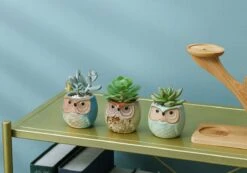 Luxe Bamboe Houten Boom Met 3 Keramiek Uil Bloempotten/Plantenpotten Op Standaard/Voet Voor Binnen En Buiten - Modern Design Bloempot/Plantenpot Op Poten/Pootjes-Plantenbak Mini Cactus Nep Plant Pot Houder - Kleine Bloembakken Plantenrek/Plantenkurk -Tuinmeubel Verkoop 1200x840