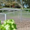 Royal Well Broeikas Silver Thyme -Tuinmeubel Verkoop 1200x924 1