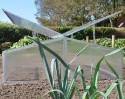 Royal Well Broeikas Silver Thyme -Tuinmeubel Verkoop 1200x947