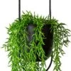 Be-Inspired® Hangende Bloempot Ovaal - Bloempot Binnen - Voor Hangplant – Plant Bloem Pot Met Opknoping – Plantenhanger - Plantenbak - Industrieel – Scandinavisch - Metaal - Zwart 2 Be-Inspired® Hangende Bloempot Ovaal - Bloempot Binnen - Voor Hangplant – Plant Bloem Pot Met Opknoping – Plantenhanger - Plantenbak - Industrieel – Scandinavisch - Metaal - Zwart -Tuinmeubel Verkoop 314x1200