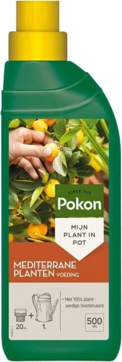Pokon Mediterrane Planten Voeding - 500ml - Voor Citrus En Mediterrane Planten -Tuinmeubel Verkoop 407x1200