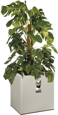 Elho Vivo Structure Finish Vierkant 40 - Plantenbak Voor Binnen & Buiten - Ø 39 X H 41 - Grijs/Warm Grijs -Tuinmeubel Verkoop 613x1200