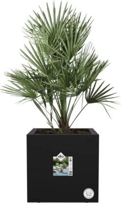 Elho Vivo Next Vierkant 40 - Plantenbak Voor Binnen & Buiten - Ø 39.0 X H 37.9 Cm - Zwart/Living Black -Tuinmeubel Verkoop 720x1200 1