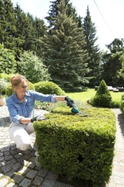 Bosch ISIO Gen III Accu Buxusschaar + Grasschaar -Tuinmeubel Verkoop 800x1200 10