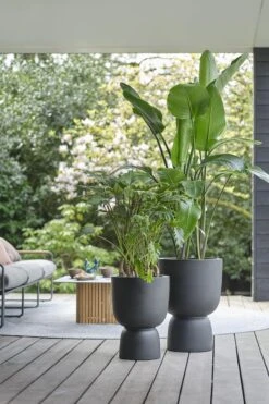 Elho Pure Coupe 41 - Bloempot Voor Binnen & Buiten - Ø 41.3 X H 57.9 Cm - Zwart/Zwart -Tuinmeubel Verkoop 800x1200 50