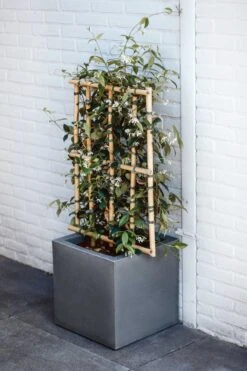 Capi Europe - Bloempot Vierkant Smooth NL - 50x50x50 - Zwart - Voor Binnen En Buiten - KBL904 -Tuinmeubel Verkoop 800x1200 51
