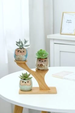 Luxe Bamboe Houten Boom Met 3 Keramiek Uil Bloempotten/Plantenpotten Op Standaard/Voet Voor Binnen En Buiten - Modern Design Bloempot/Plantenpot Op Poten/Pootjes-Plantenbak Mini Cactus Nep Plant Pot Houder - Kleine Bloembakken Plantenrek/Plantenkurk -Tuinmeubel Verkoop 800x1200 56