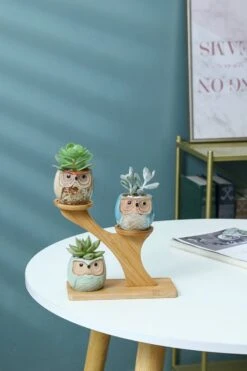 Luxe Bamboe Houten Boom Met 3 Keramiek Uil Bloempotten/Plantenpotten Op Standaard/Voet Voor Binnen En Buiten - Modern Design Bloempot/Plantenpot Op Poten/Pootjes-Plantenbak Mini Cactus Nep Plant Pot Houder - Kleine Bloembakken Plantenrek/Plantenkurk -Tuinmeubel Verkoop 800x1200 57