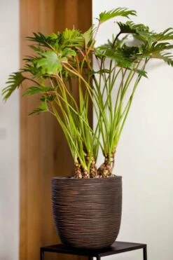 Capi Europe - Bloempot Bol Rib NL - 43x41 - Antraciet - Voor Binnen En Buiten - KOFZ933 -Tuinmeubel Verkoop 800x1200 59