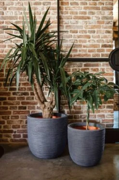 Capi Europe - Bloempot Bol Rib NL - 43x41 - Antraciet - Voor Binnen En Buiten - KOFZ933 -Tuinmeubel Verkoop 800x1200 60