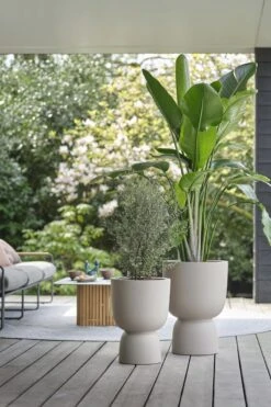 Elho Pure Coupe 41 - Bloempot Voor Binnen & Buiten - Ø 41.3 X H 57.9 Cm - Beige/Balanced Beige 20 Elho Pure Coupe 41 - Bloempot Voor Binnen & Buiten - Ø 41.3 X H 57.9 Cm - Beige/Balanced Beige -Tuinmeubel Verkoop 800x1200 61