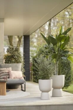 Elho Pure Coupe 41 - Bloempot Voor Binnen & Buiten - Ø 41.3 X H 57.9 Cm - Beige/Balanced Beige 31 Elho Pure Coupe 41 - Bloempot Voor Binnen & Buiten - Ø 41.3 X H 57.9 Cm - Beige/Balanced Beige -Tuinmeubel Verkoop 800x1200 63