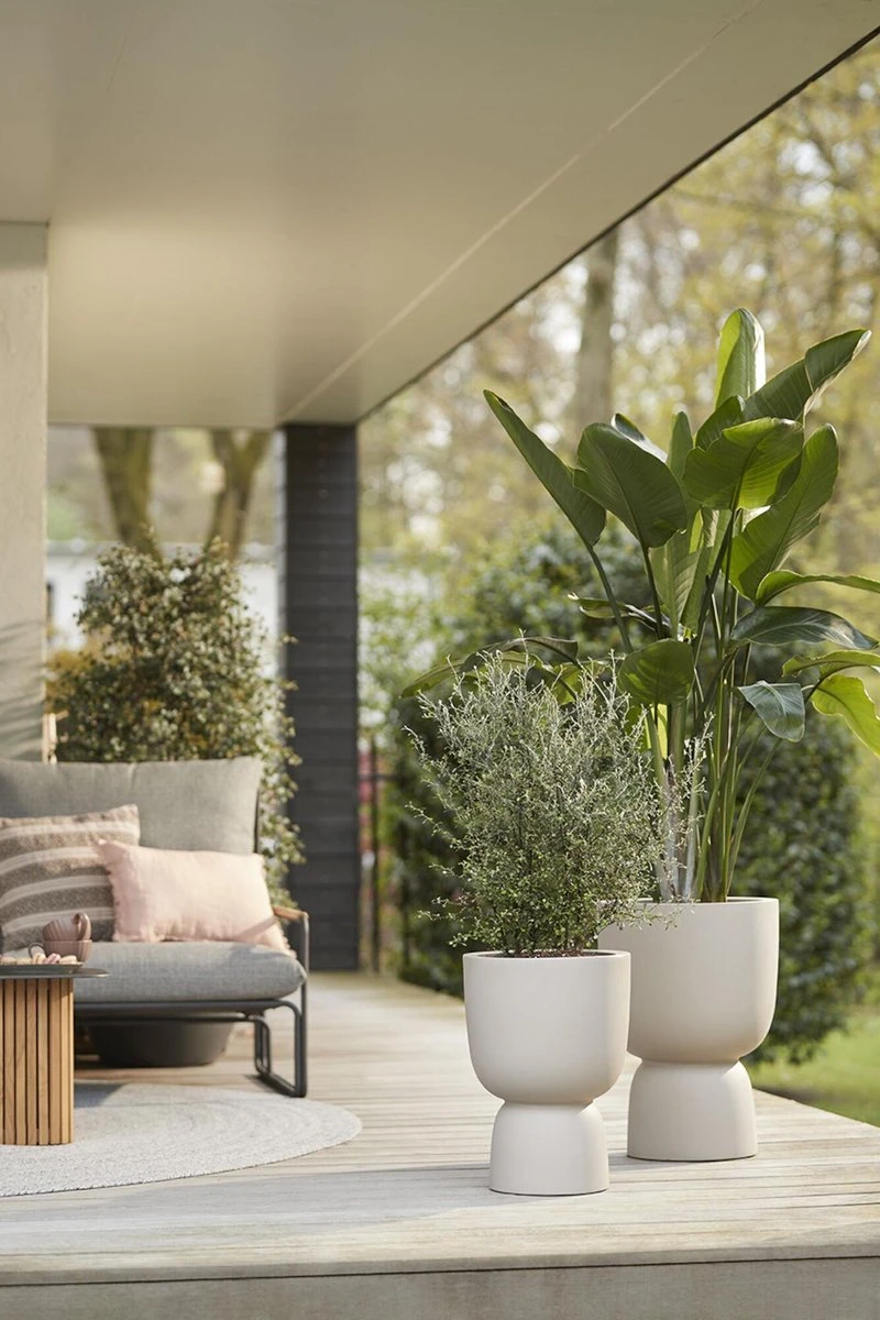 Elho Pure Coupe 41 - Bloempot Voor Binnen & Buiten - Ø 41.3 X H 57.9 Cm - Beige/Balanced Beige 16 Elho Pure Coupe 41 - Bloempot Voor Binnen & Buiten - Ø 41.3 X H 57.9 Cm - Beige/Balanced Beige - Image 14