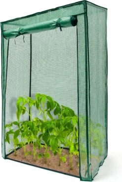 Relaxdays Tomatenkas 150x100x50 Cm - Tuinkas Tomaten - Foliekas - Serre - Kweekkas - PVC -Tuinmeubel Verkoop 808x1200 2