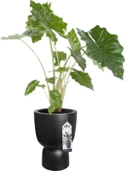 Elho Pure Coupe 41 - Bloempot Voor Binnen & Buiten - Ø 41.3 X H 57.9 Cm - Zwart/Zwart -Tuinmeubel Verkoop 877x1200