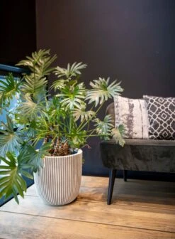 Capi Europe - Vaas Elegant Laag Groove NL - 46x58 - Goud - Voor Binnen En Buiten - KGVGB783 -Tuinmeubel Verkoop 883x1200 2