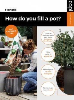 Capi Europe - Bloempot Bol Smooth NL - 35x34 - Zwart - Voor Binnen En Buiten - KBL932 -Tuinmeubel Verkoop 892x1200