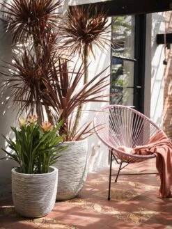 Capi Europe - Bloempot Bol Rib NL - 43x41 - Antraciet - Voor Binnen En Buiten - KOFZ933 -Tuinmeubel Verkoop 900x1200 13