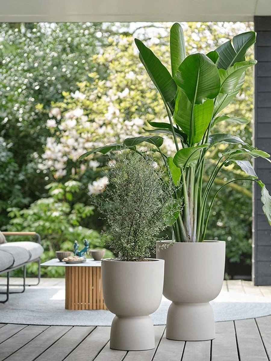 Elho Pure Coupe 41 - Bloempot Voor Binnen & Buiten - Ø 41.3 X H 57.9 Cm - Beige/Balanced Beige 13 Elho Pure Coupe 41 - Bloempot Voor Binnen & Buiten - Ø 41.3 X H 57.9 Cm - Beige/Balanced Beige - Image 11