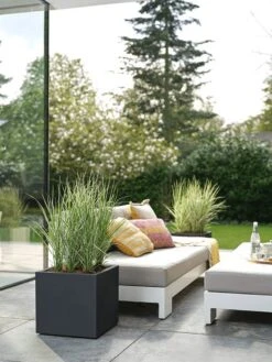 Elho Vivo Next Vierkant 40 - Plantenbak Voor Binnen & Buiten - Ø 39.0 X H 37.9 Cm - Zwart/Living Black -Tuinmeubel Verkoop 900x1200 6